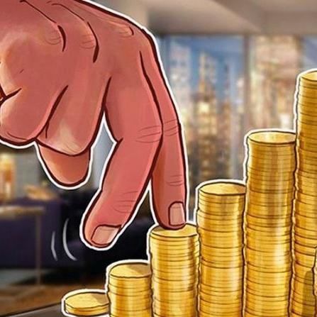 金龍魚老板祖籍哪里的
