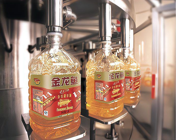 金龍魚老板祖籍哪里的