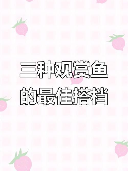 一條龍魚配一條虎魚有說法嗎圖片視頻