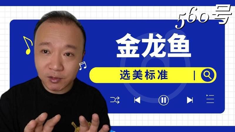 金龍魚怎么比賽