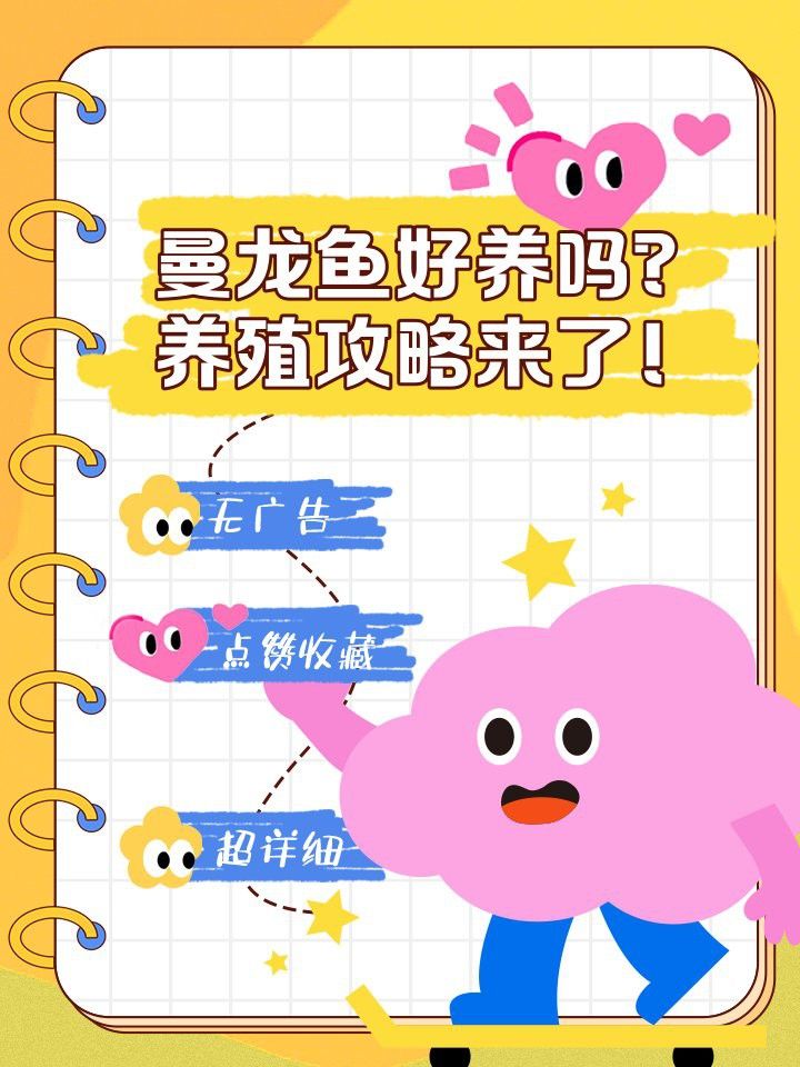曼龍魚和銀龍魚哪個(gè)更難飼養(yǎng)？