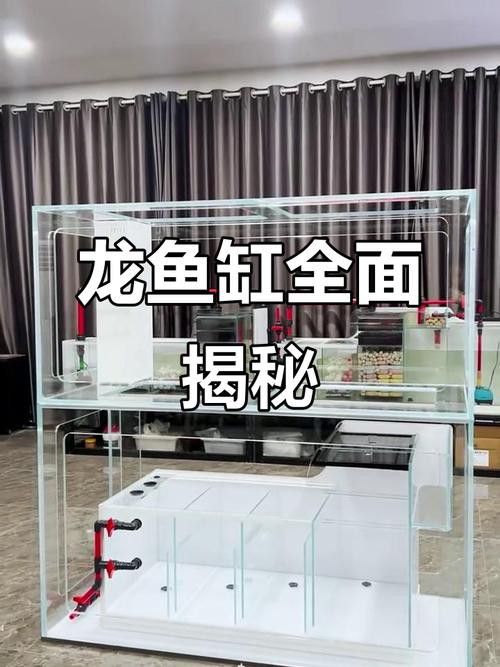 博世龍魚(yú)缸價(jià)格表和圖片