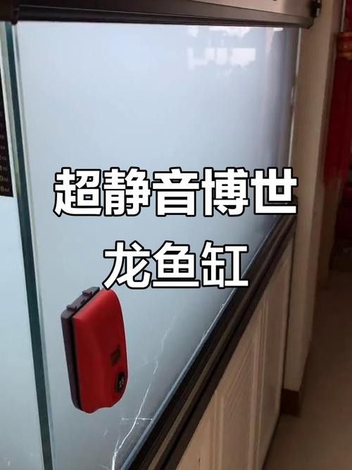 博世龍魚(yú)缸價(jià)格表和圖片