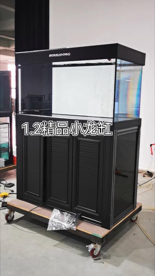 博世龍魚(yú)缸價(jià)格表和圖片