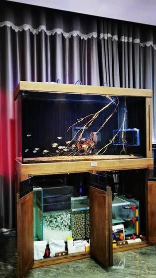 博世龍魚(yú)缸價(jià)格表和圖片