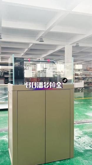 博世龍魚(yú)缸價(jià)格表和圖片