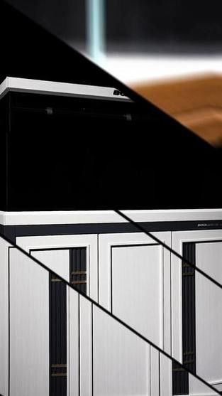 博世龍魚(yú)缸價(jià)格表和圖片