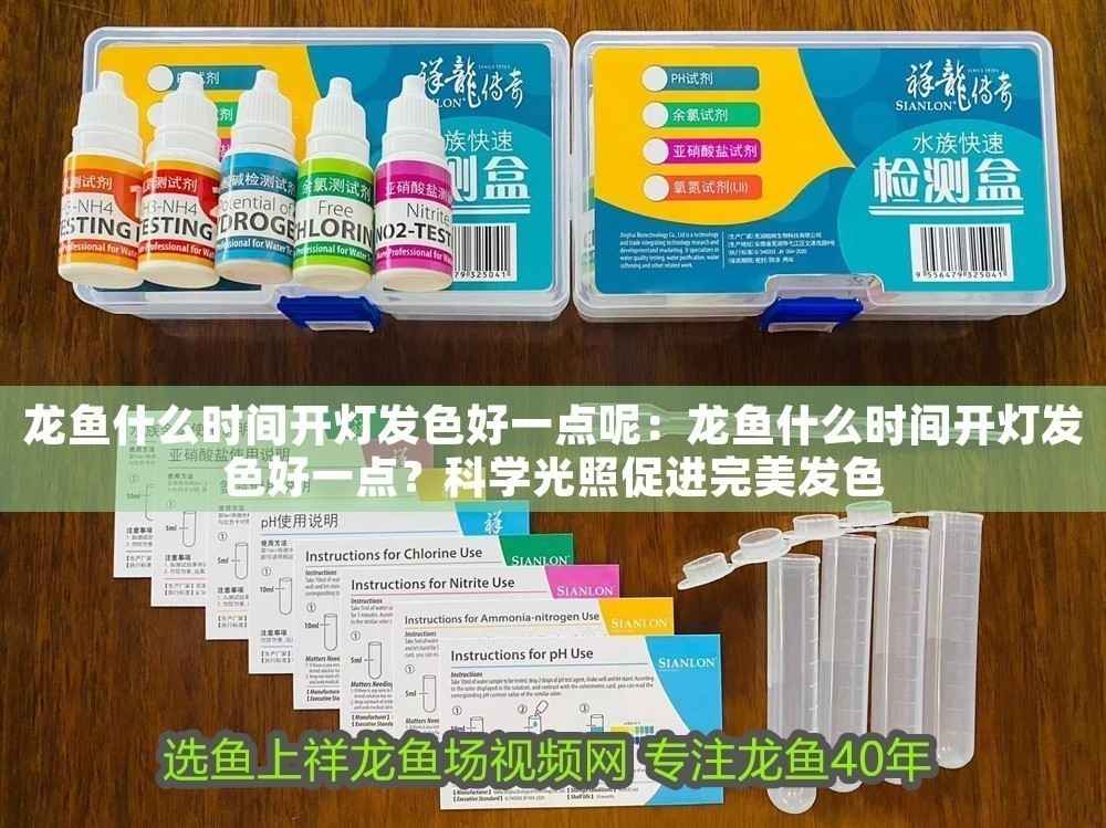 龍魚什么時間開燈發色好一點呢：龍魚什么時間開燈發色好一點？科學光照促進完美發色