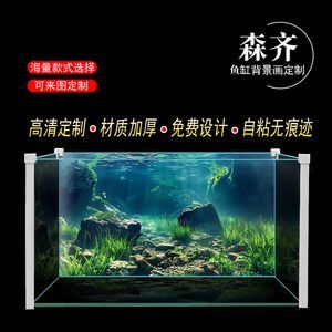 龍魚魚缸背景紙什么顏色好：選擇龍魚魚缸背景紙的顏色需要綜合考慮多種因素