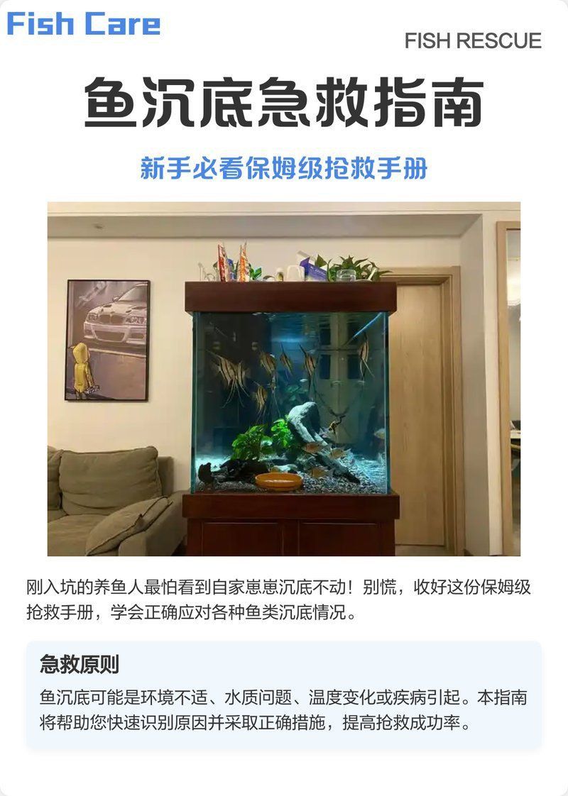 魚沉尾最簡單三個步驟