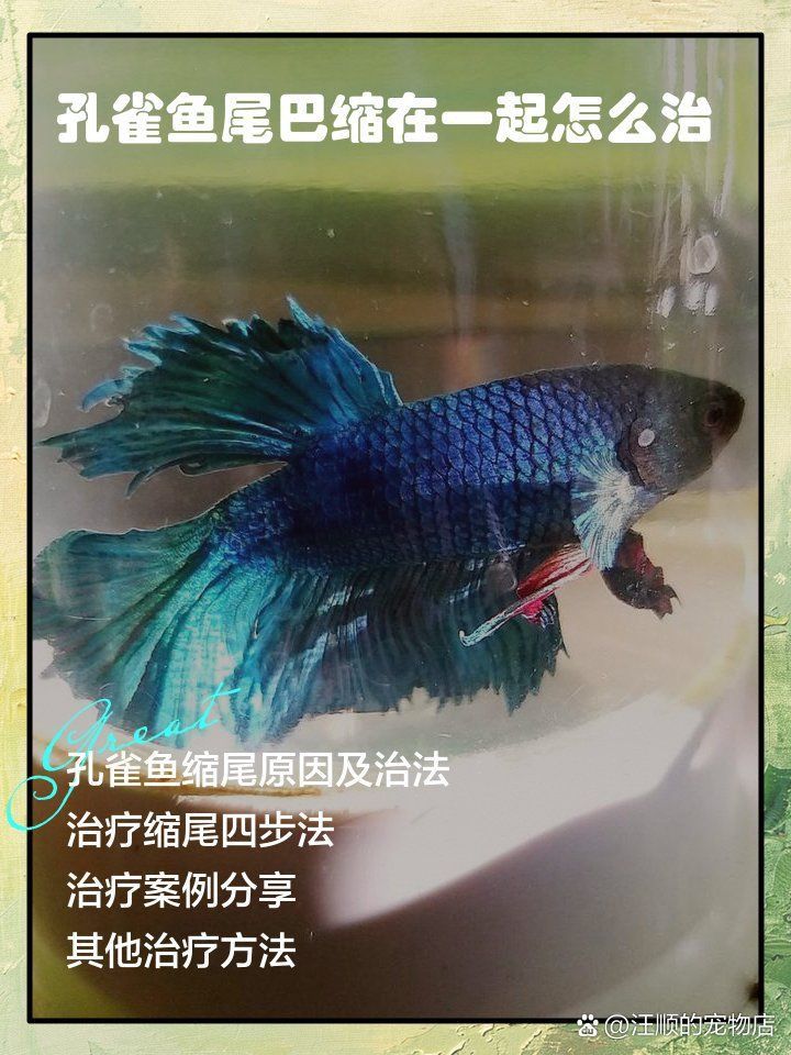 魚沉尾最簡單三個步驟