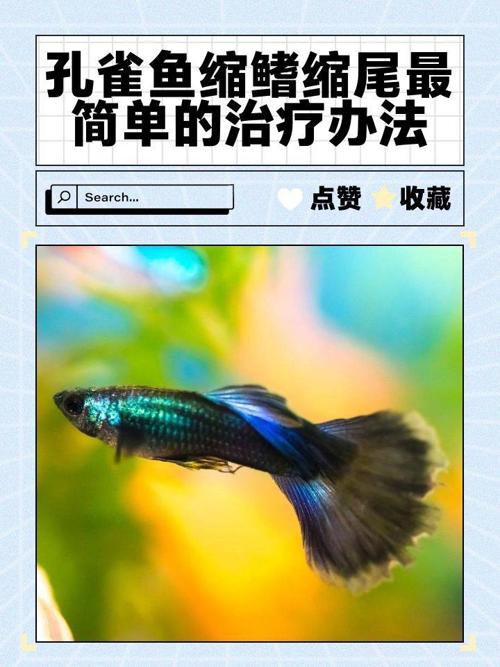 魚沉尾最簡單三個步驟