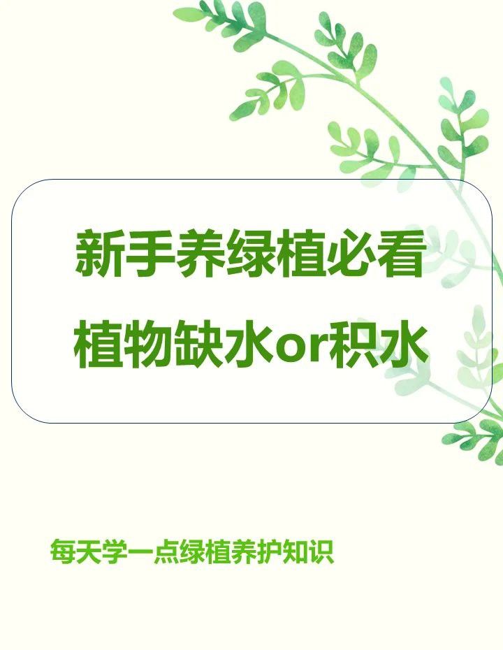 如何判斷植物小火龍是否缺水？