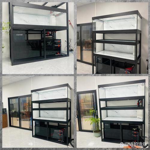 龍魚之家魚缸圖片大全