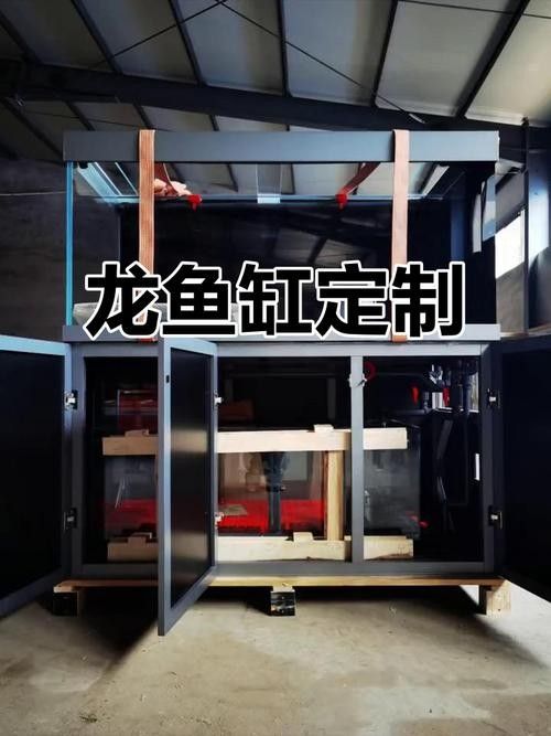 龍魚之家魚缸圖片大全