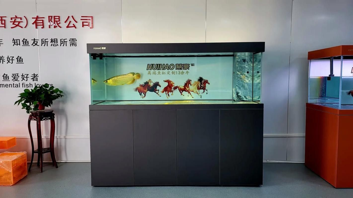 龍魚之家魚缸圖片大全