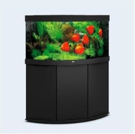 龍魚之家魚缸圖片大全