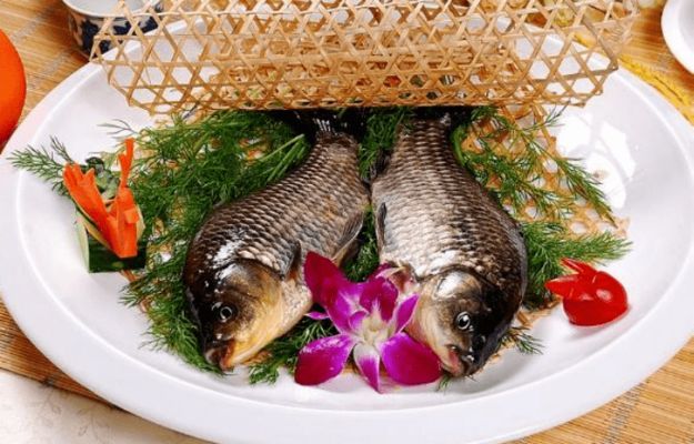 白缸養(yǎng)金龍魚可以嗎：白缸養(yǎng)金龍魚，打造極致觀賞效果的飼養(yǎng)指南