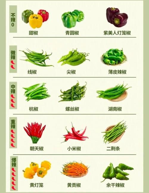 辣椒種類圖片