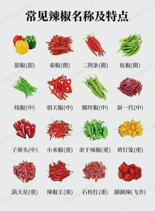 辣椒種類圖片