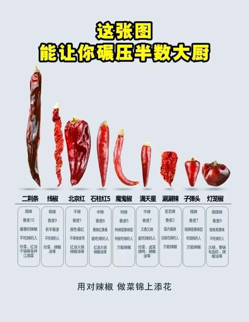 辣椒種類圖片