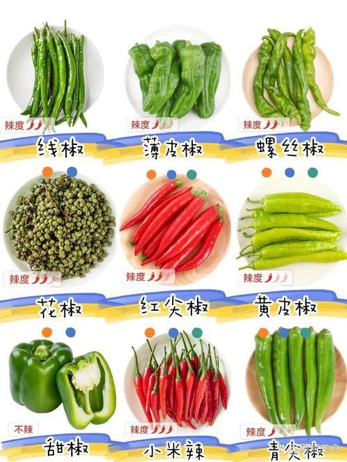 辣椒種類圖片