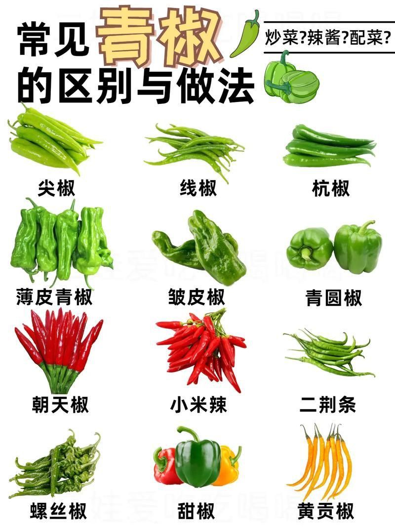 辣椒種類圖片