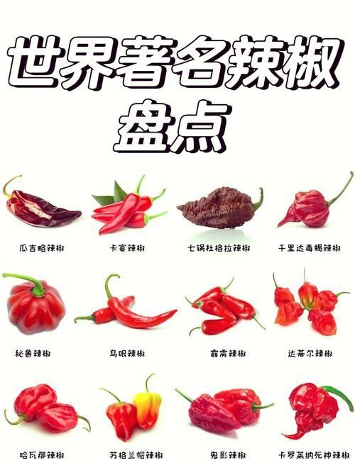 辣椒種類圖片