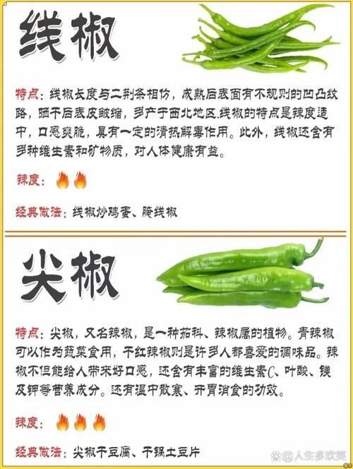 辣椒種類圖片