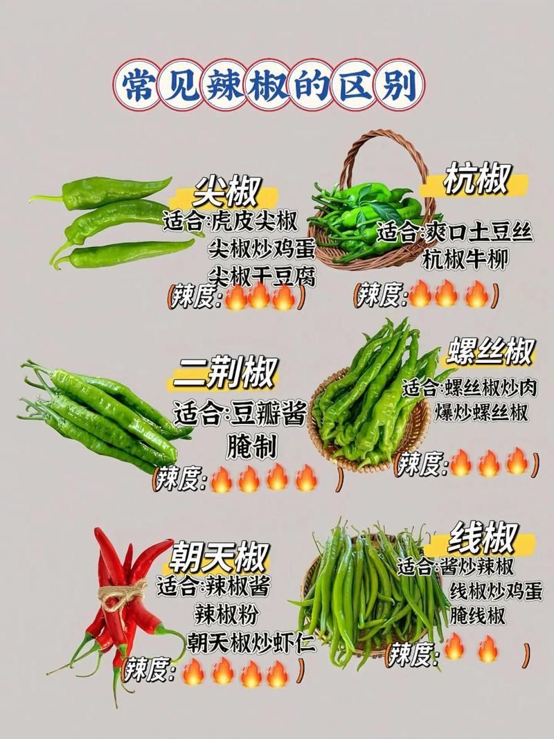 辣椒種類圖片
