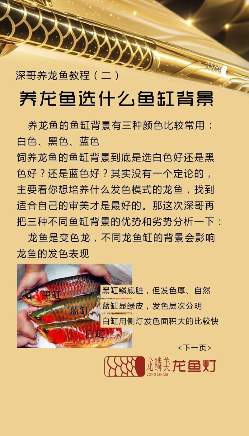 更換龍魚背景時(shí)需要注意什么？
