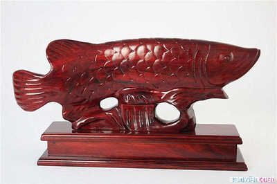 金龍魚擺件有什么講究【金龍魚擺件在傳統(tǒng)文化中的含義】