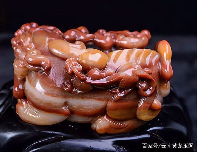 鰻魚混養最忌三種魚