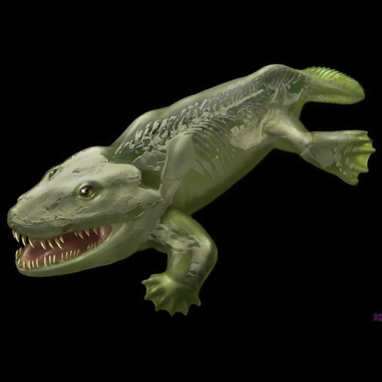 哪種魚類是用肺呼吸的