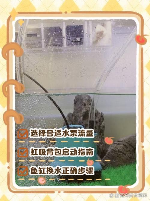 如何選擇適合龍魚缸的水泵和環流泵？