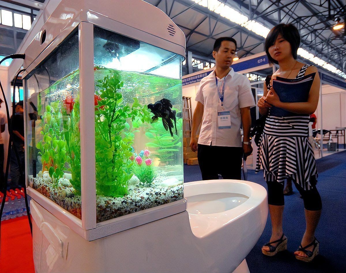如何選擇適合龍魚缸的水泵和環流泵？
