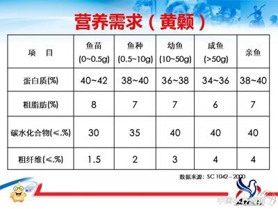 飼養(yǎng)紅龍魚需要幾顆燈泡：飼養(yǎng)紅龍魚需要幾顆燈？科學(xué)光照指南與常見誤區(qū)解析