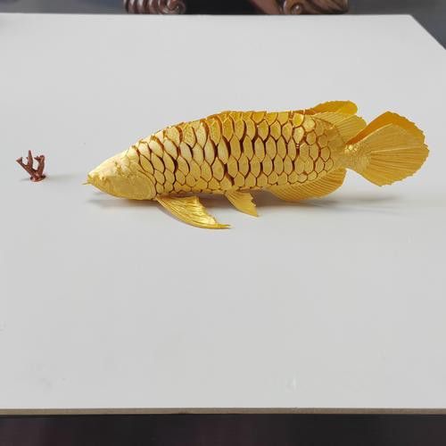 金龍魚吉祥物小牛圖片大全