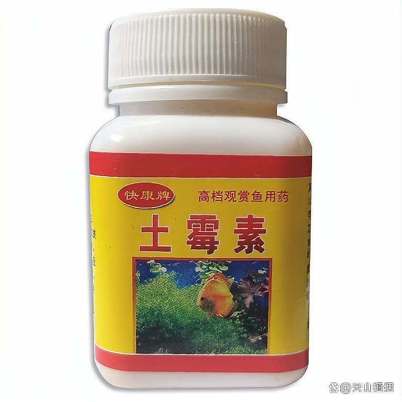 土霉素對(duì)魚(yú)鰓病最簡(jiǎn)單處理