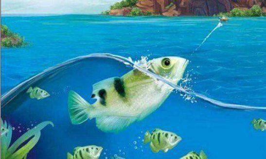 銀龍魚能記住主人多久？