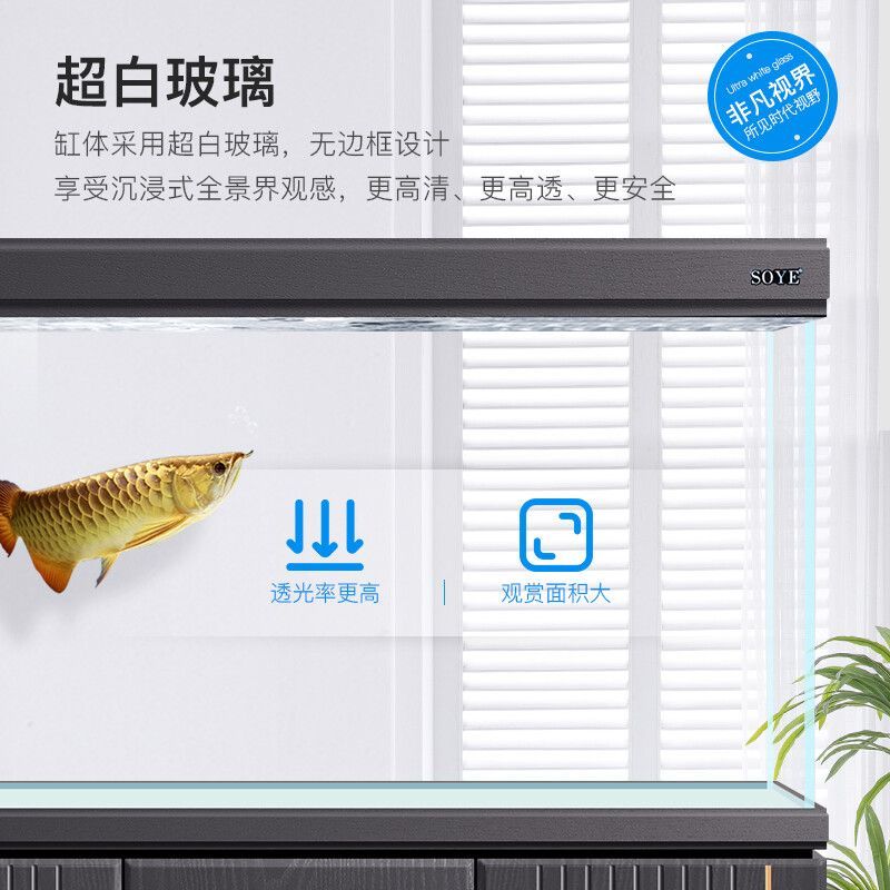 龍魚缸設置溫度（龍魚缸的水溫應該如何調整？）