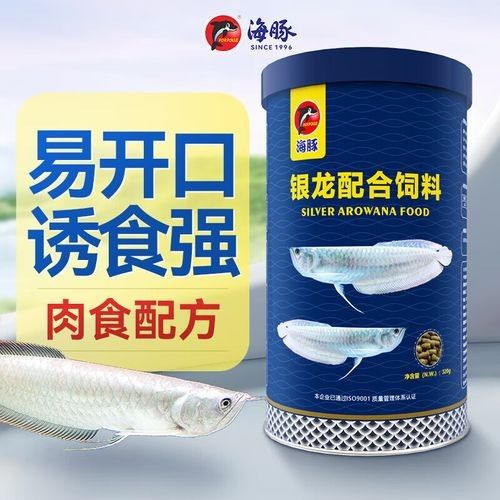 銀龍魚吃什么顆粒飼料好