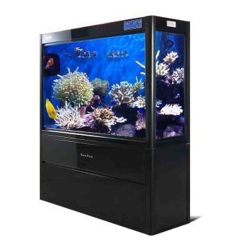龍魚魚缸品牌十大排名榜：2024年龍魚魚缸品牌十大排名榜