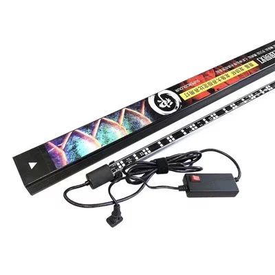 龍魚燈烤魚怎么辨別公母：如何辨別龍魚燈烤魚的公母 龍魚燈烤魚怎么辨別公母：如何辨別龍魚燈烤魚的公母 龍魚百科 第3張