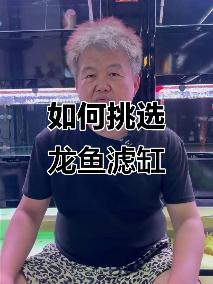 如何選擇適合養紅龍魚的過濾系統？