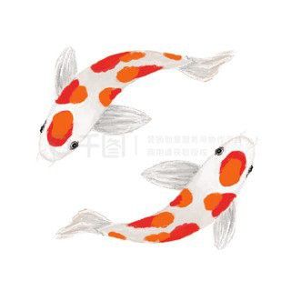 紅龍魚品牌有哪些產(chǎn)品名稱及圖片大全介紹