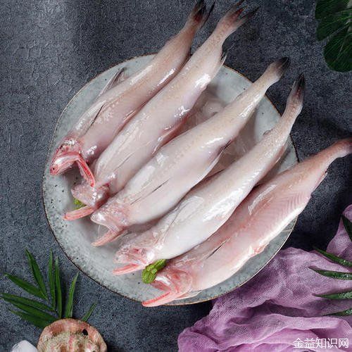 吃龍頭魚會胖嗎：吃龍頭魚會胖嗎吃龍頭魚會胖嗎吃龍頭魚會胖嗎