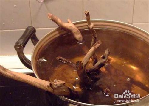 金龍魚小魚苗怎么養活：金龍魚小魚苗怎么養，從選購到飼養的全面指南