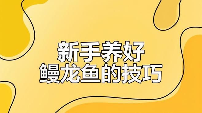 曼龍魚需要什么水質養