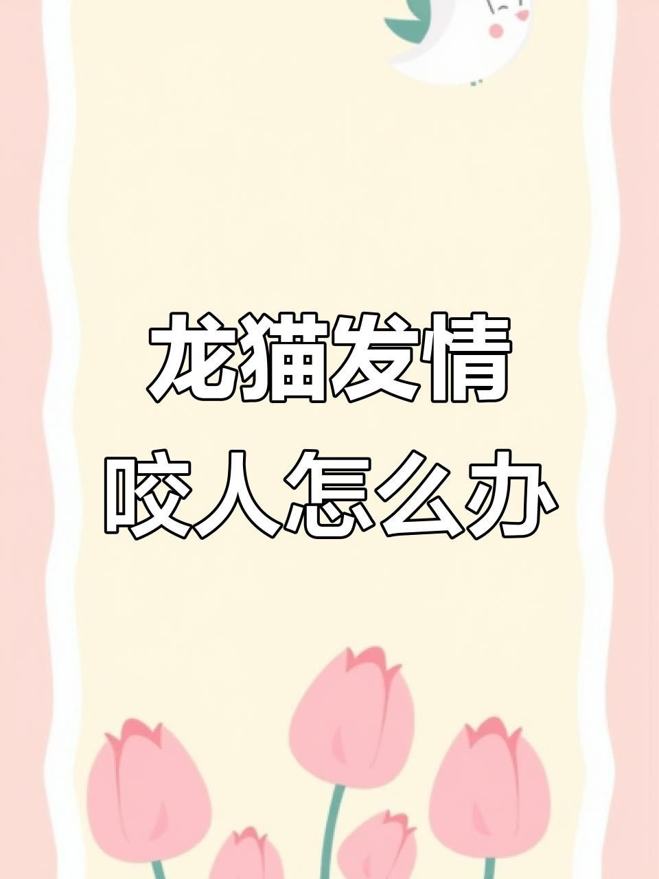 龍貓發情期咬人怎么辦？